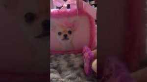 сериал любовница 1 серия 1 сезон