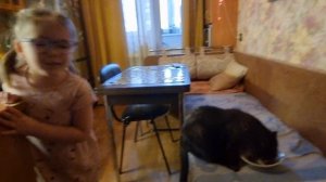 Теона 5 лет ведёт репортаж про своего кота Мишу:)