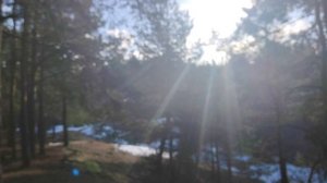 Свобода в нашей жизни