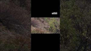 Военная драма «Сармат». На грани провала