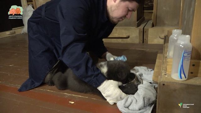 МИСОЧНАЯ НАУКА ДЛЯ МЕДВЕЖЬЕГО НАРОДА