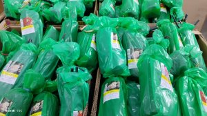 Саженцы в магазине Светофор для садоводов