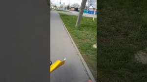 типичная прогулка