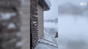 America′s Funniest Home Videos. Best Fails of the Week  Try Not to Laugh