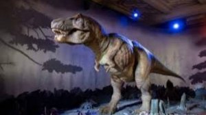 Окаменевшее яйцо возрастом 250 млн лет обнаружено в Южной Африке