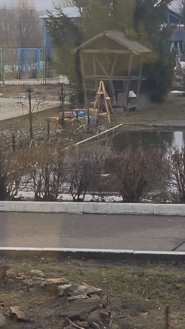 Объявление!: в школе N°3 уточки 1 селезень 1 утка так что утята будут🤣😂