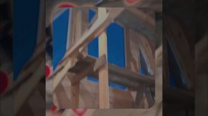 1000055615.mp4 (Собака наблюдает за устройством лестницы на 2-ой этаж в доме А-фрейм)