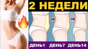Пресс за 2 недели. Тренировка пресса.