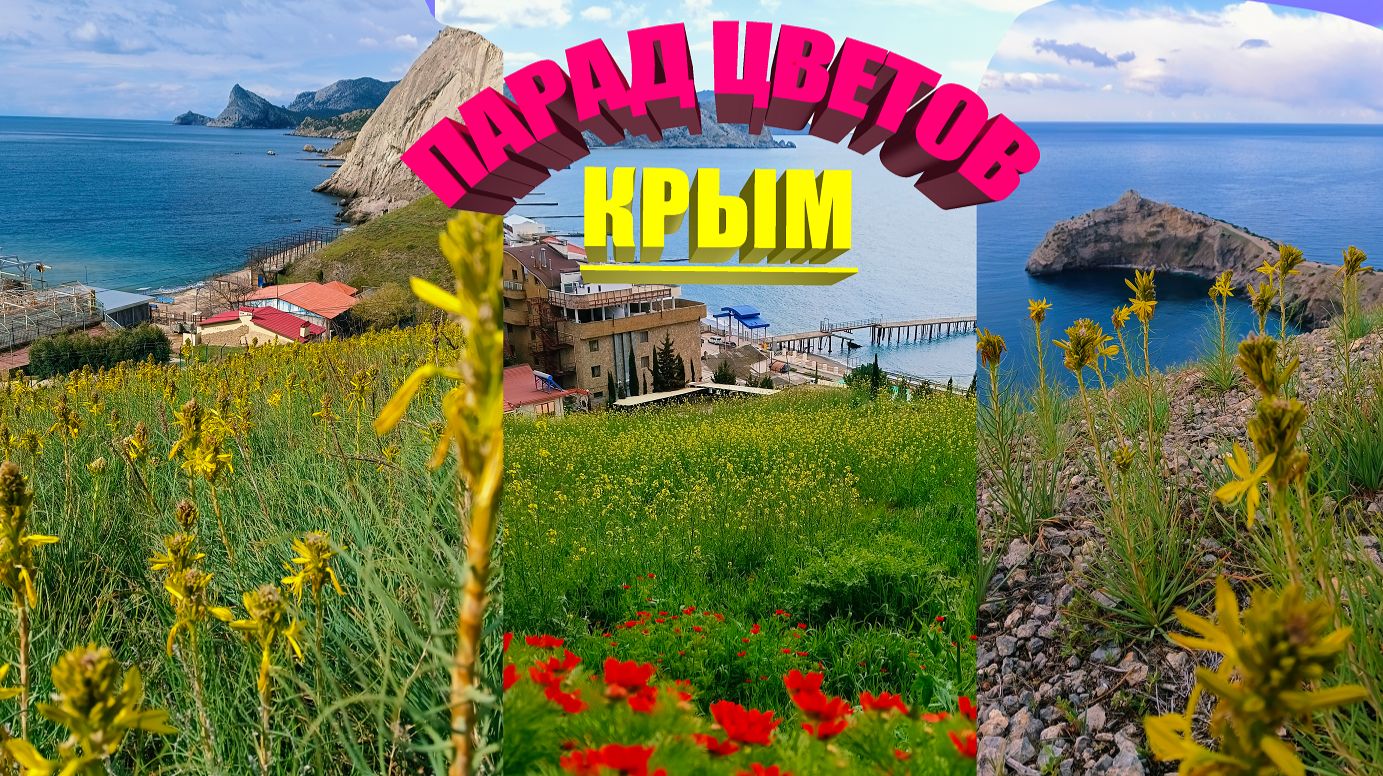 СУДАК 2026 Я ОШАЛЕЛ! Курорт в полевых цветах! Когда Теплеет Море в Крыму. Набережная