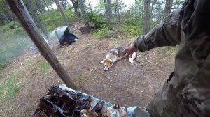 Поездка в лес на 7 дней! Рыбалка,копчение рыбы