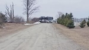 Сельчанка в Америке / НОВАЯ МАШИНА ВО ДВОРЕ