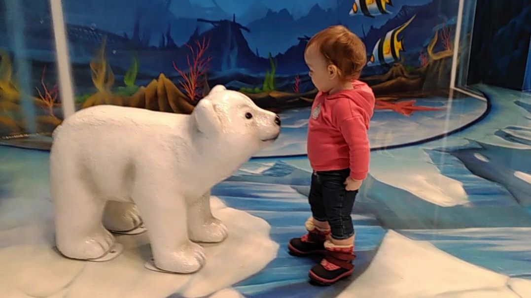 Арина с гостями пропадает в Музее Иллюзий