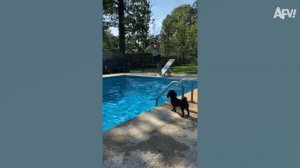 America's Funniest Home Videos. THIS IS WHY YOU SHOULD STAY HOME _ Funny Vacation Fails