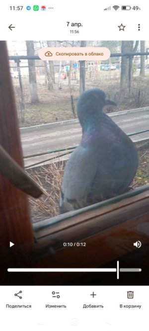 пробую лапшу sanbonsai Том Ям, с лемонграсом и лаймом