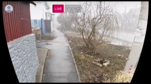 02.04.2026 г. Туман.mp4