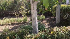 Один из дней города Евпатории | 8 сентября 2021 год | Крым ХАН БАТОН XAH 6ATOH | VID_20210908_144551