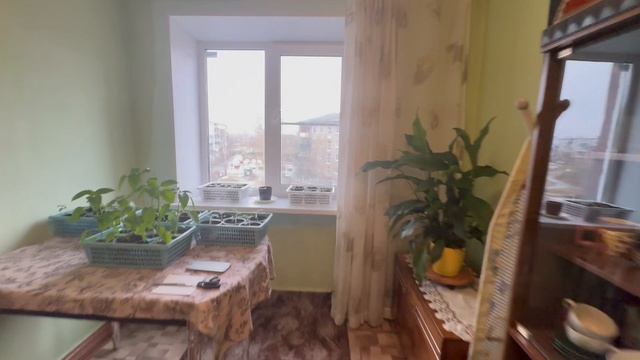 Copy_5A7D05D9-40D2-48BA-A72C-BF8CFB9334C4