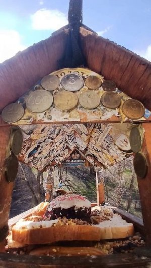 1000014877.mp4Кормушка.10.04.2026г.