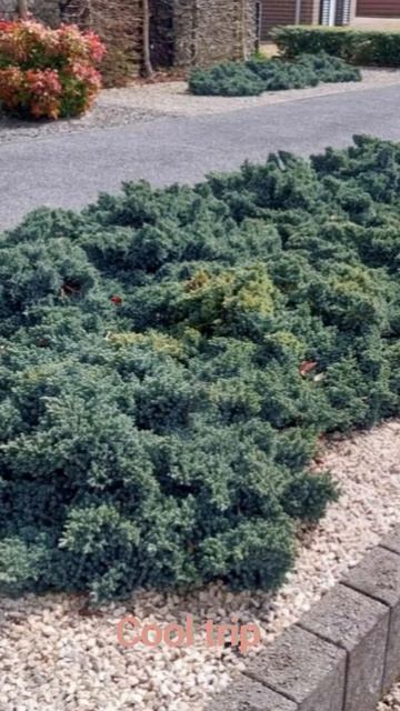 Мир путешествий. Ловите яркие моменты. 🏚️