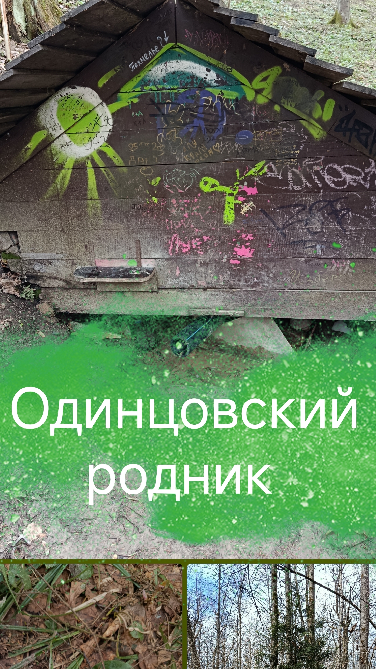 Как погулять в Подушкинском лесу и найти клад?
