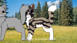 Опять видео от сью! Можете реакцию делать!