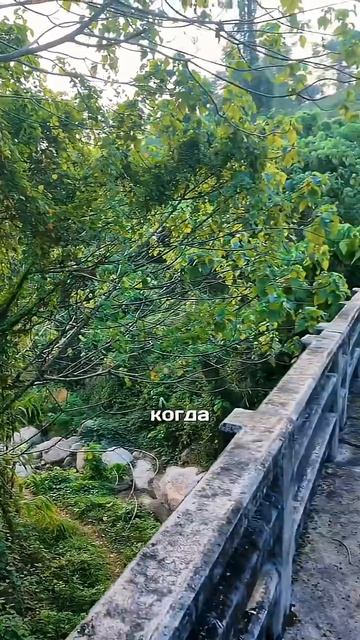 Спрятали 100$ на Пхукете