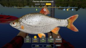 ПЛОТВА ДВА ТРОФЕЯ!!!ВОЛХОВ - РУССКАЯ РЫБАЛКА 4