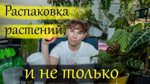 Распаковка растений, и не только.