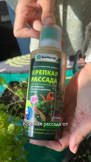 Хотите крепкую и коренастую рассаду?