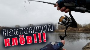 ПОСТАВИЛ ЭТУ ПРИМАНКУ И ПОНЕСЛОСЬ!!! 7 ЩУК НА Arion ASRE802LT 4-16гр.