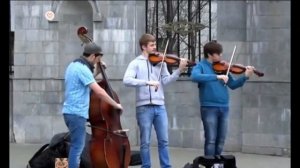 Дружба похожа на скрипку!