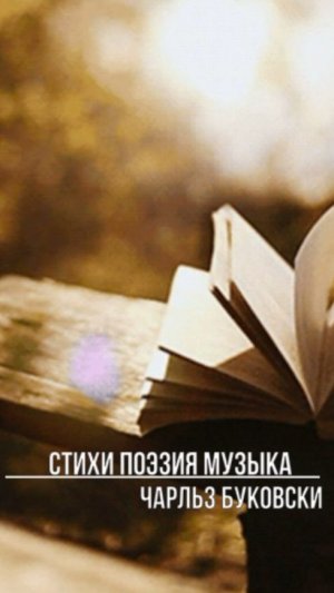 В следующей жизни хочу быть котом