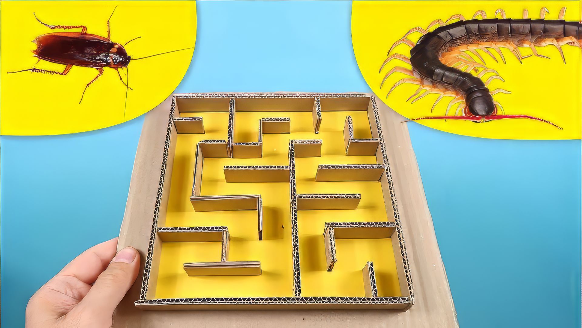 Что будет если Сколопендра и Таракан попадут в лабиринт?