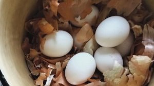 Как покрасить яйца в чистый четверг