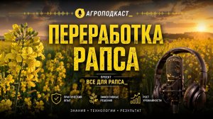 Подкаст: Переработка рапса.
