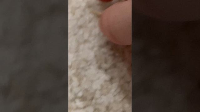 обзор на кск Север❄️