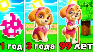 😳КАК МЕНЯЛАСЬ СКАЙ ЩЕНЯЧИЙ ПАТРУЛЬ В МАЙНКРАФТ МУЛЬТИК