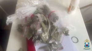 Ростовская полиция изъяла у группы мужчин пистолет, 107 кустов конопли, марихуану и масло каннабиса