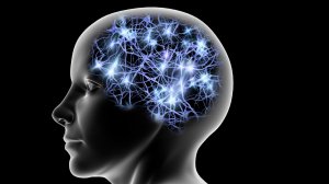 Нашу память обнуляют каждые 100 лет.