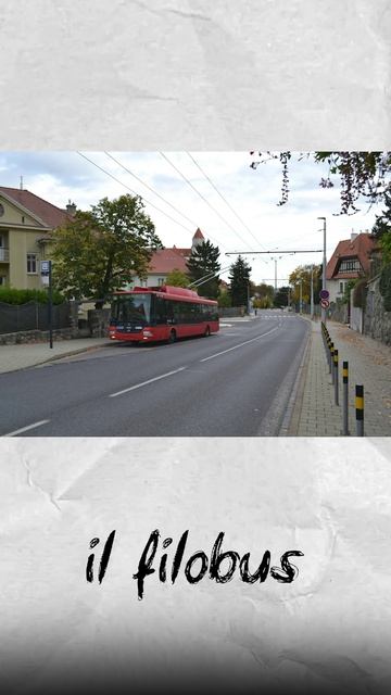 Городской транспорт: трамвай, троллейбус, фаникулер