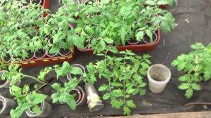 К нам идут морозы! 10 апреля 2026 год.