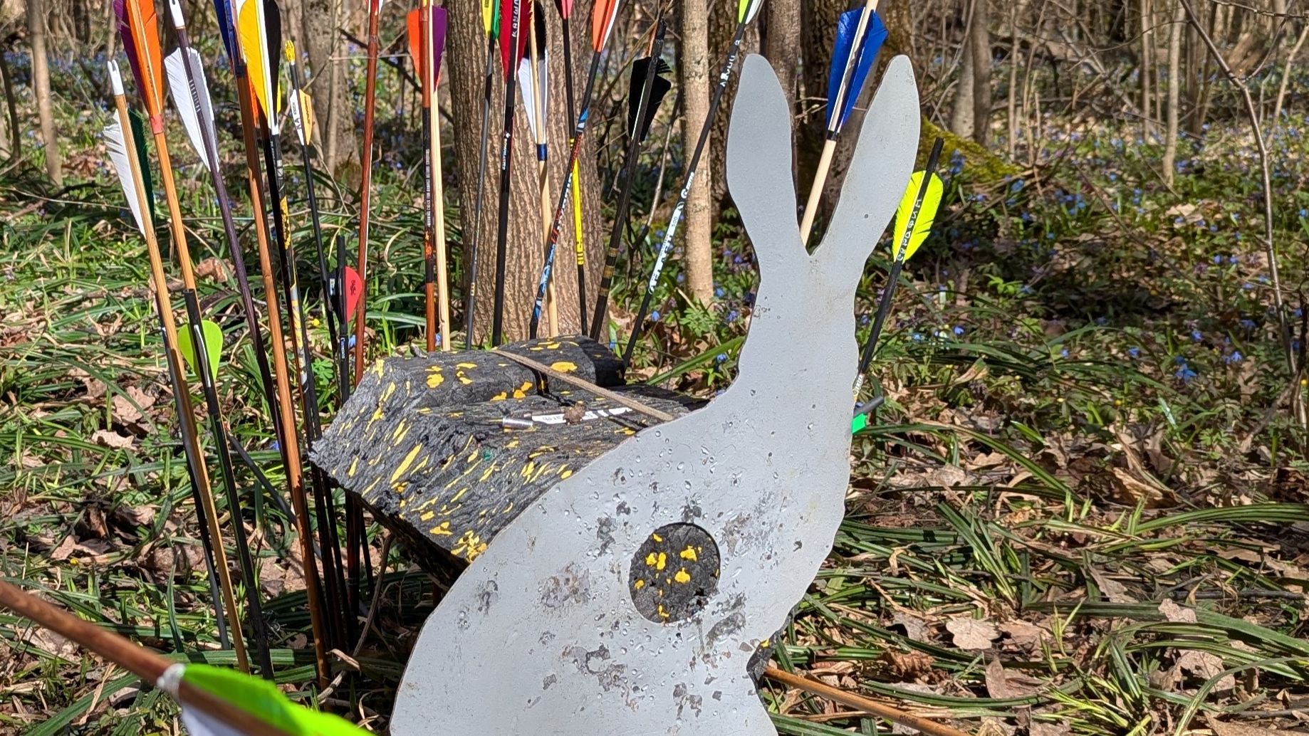 Большой охотник 2026  #bow #arrows #archer #archery #лук #стрелы #стрельбаизлука