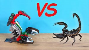 Дикий Скричер против живого Скорпиона! Обзор новинок 5 сезона!