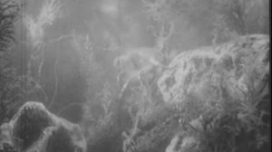 03. В глубинах моря (1938)