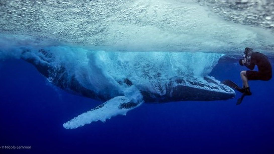 Коран на русском языке сура 010. Юнус ( Юнус )