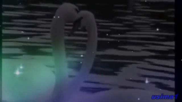 Кударский альбом