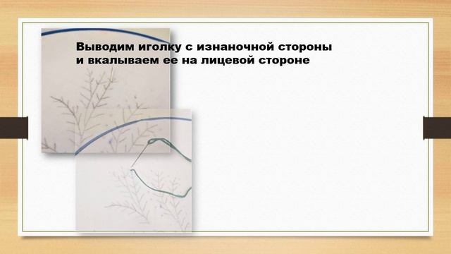 Веточка мимозы