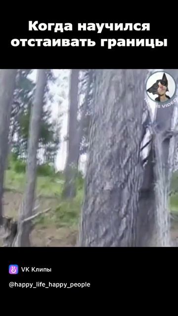 Когда научился отстаивать границы 😉😄 #психология #юмор