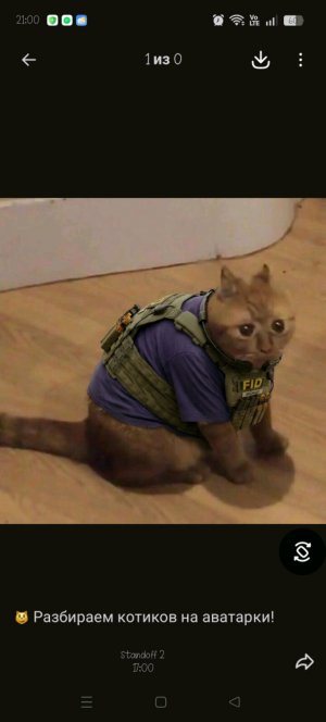 снимаю Мир танков с другом