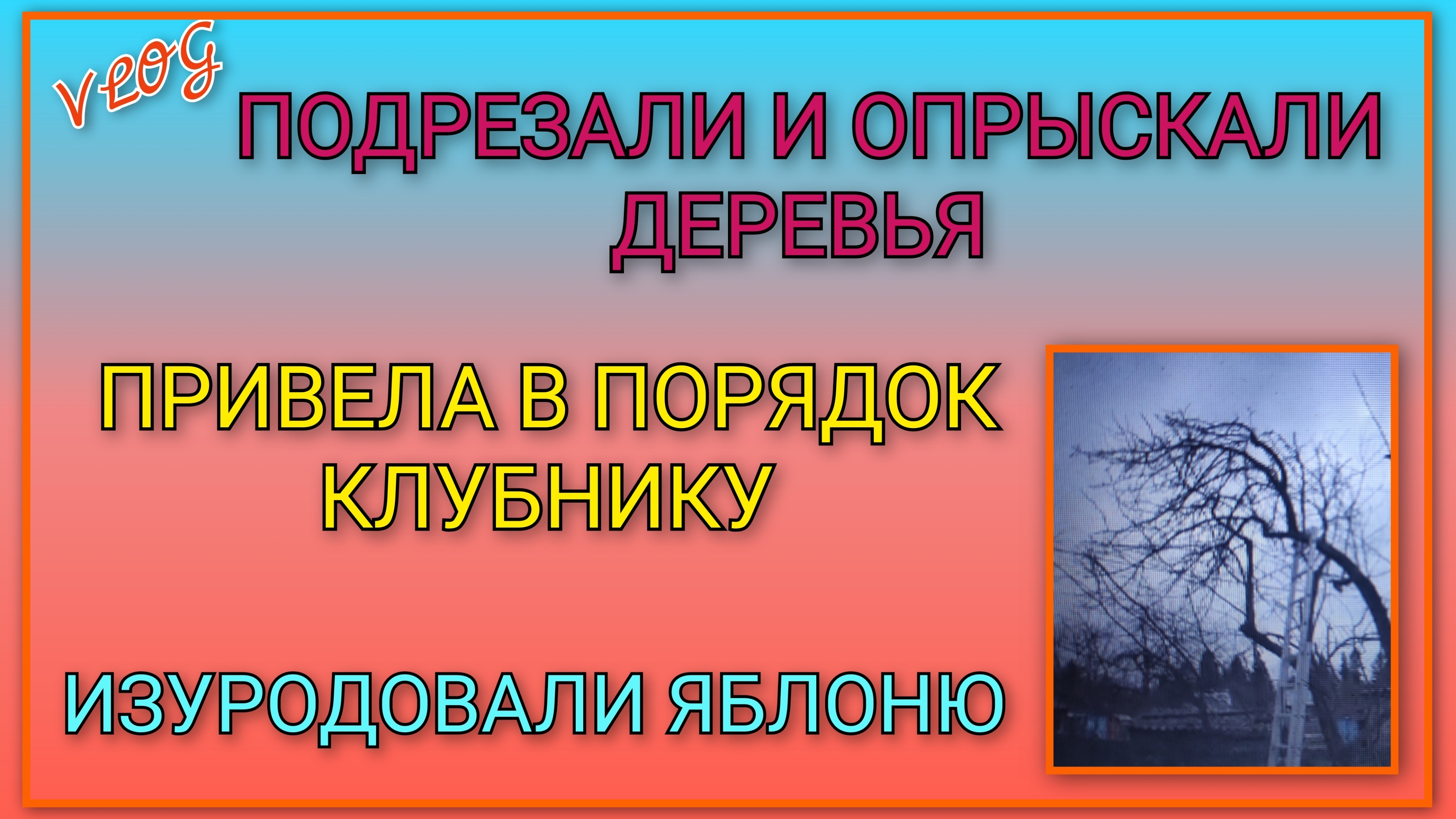 🍒 Привела в порядок клубнику/ Подрезали и опрыскали деревья/ Изуродовали  яблоню, я на всех обижена